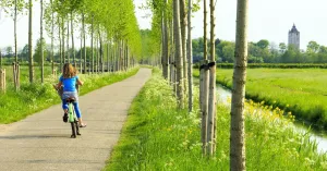 Ontdek de historische schatten van landgoed Haarzuilens Ontdek de historische schatten van landgoed Haarzuilens | Foto geüpload door gebruiker Natuurmonumenten.