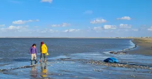 OERRR Strandjutten in de Kwade Hoek OERRR Strandjutten in de Kwade Hoek | Foto geüpload door gebruiker Natuurmonumenten.