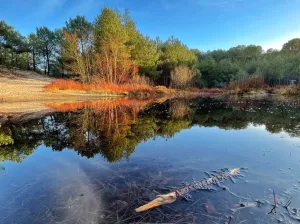 Fotobeschrijving: Nachtvorst. Foto: Linda Smit.