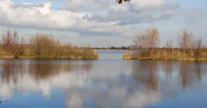 Herfst-vaartocht door de Ankeveense Plassen Herfst-vaartocht door de Ankeveense Plassen | Foto geüpload door gebruiker Natuurmonumenten.