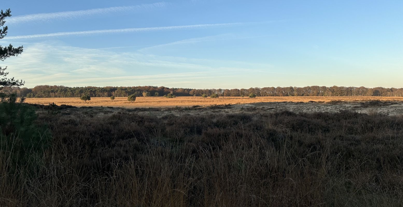 Laat je betoveren door de geheimzinnige schoonheid van de omgeving rond Wolfheze. Foto: Joey Haalboom