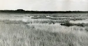 In de voetsporen van Jac. P. Thijsse | Foto geüpload door gebruiker Natuurmonumenten.