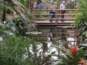 Slenteren door de tropen. Foto: Berkenhof Tropical Zoo