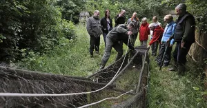 Wandelen door eendenkooi Het Aalkeetbuiten in Midden-Delfland Wandelen door eendenkooi Het Aalkeetbuiten in Midden-Delfland | Foto geüpload door gebruiker Natuurmonumenten.