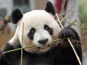 Altijd leuk: een dagje naar de dierentuin