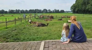 Bekijk de UITagenda van DagjeWeg.NL