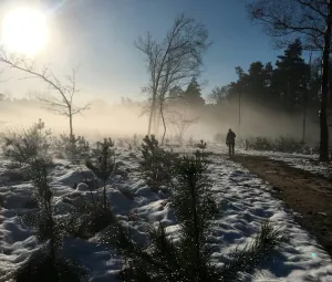 Naaldbomen excursie Foto geüpload door gebruiker import Geldersch Landschap en Kasteelen