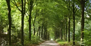 Een dagje uit in de natuur, dat is niet duur! Nederland kent vele prachtige wandel- en fietsroutes. Foto: DagjeWeg.NL.