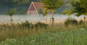 Ochtendwandeling over landgoed Mentink Ochtendwandeling over landgoed Mentink | Foto geüpload door gebruiker Natuurmonumenten.