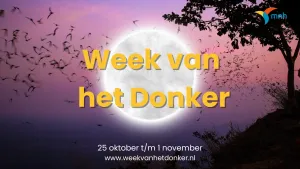 Ontdek de ruimte tijdens Week van het Donker Week van het Donker. Foto: Natuur en Milieufederatie Noord-Holland