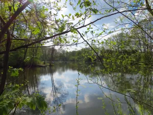 Foto: Limburgs Landschap Gouda | Foto geüpload door gebruiker limburgslandschap