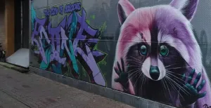 Wandel of fiets met de leukste apps Wandel of fiets langs de street art in onze steden en ontdek graffitikunst, zoals deze roze wasbeer in Arnhem. Foto: DagjeWeg.NL © Thijs Löwenthal