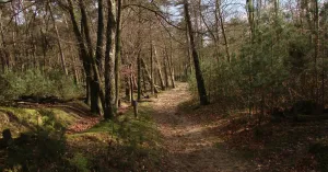 Met de gids op stap in Maart Met de gids op stap in Maart | Foto geüpload door gebruiker Natuurmonumenten.