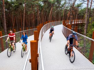 Fietsen door de Bomen