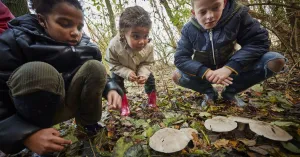 OERRR Herfstontdektocht | Foto geüpload door gebruiker Natuurmonumenten.