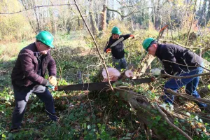 Foto: Limburgs Landschap Gouda | Foto geüpload door gebruiker limburgslandschap