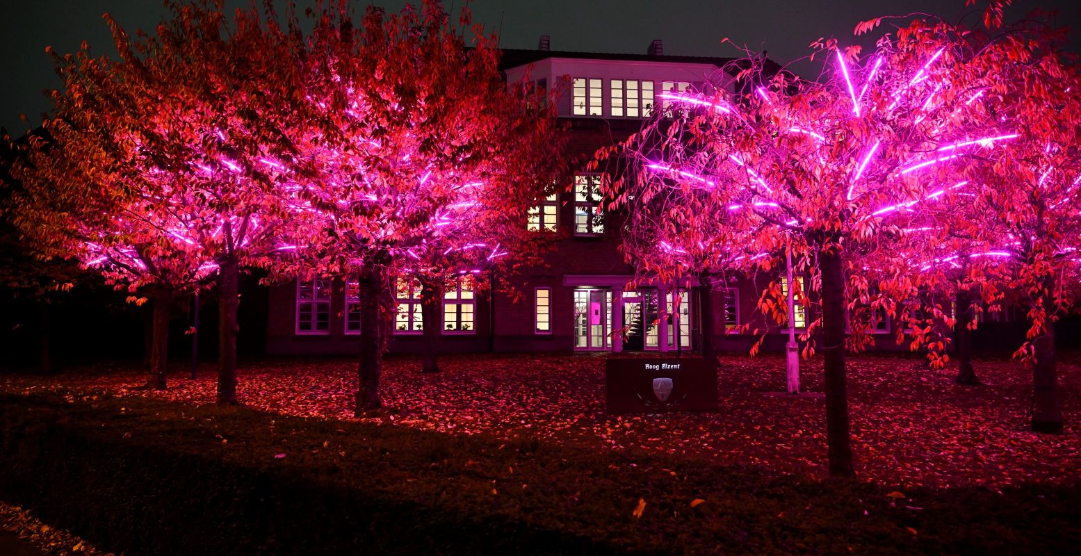 Beleef een magische avond dankzij de prachtige lichtkunst langs de route van GLOW Eindhoven. Foto: GLOW Eindhoven © Bart van Overbeeke