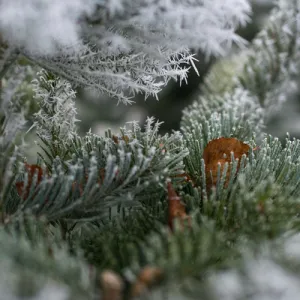 Kerstklimmen. Foto: In Alle St(r)aten