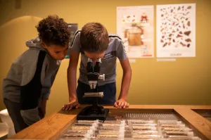 Bekijk de natuur onder de microscoop, foto: Erik Jaap Dijk