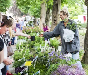 Tuinmarkt kasteel Hernen Foto geüpload door gebruiker Geldersch Landschap en Kasteelen