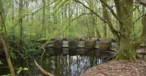 Ontdek de waterwerken in het Waterloopbos | Foto geüpload door gebruiker Natuurmonumenten.