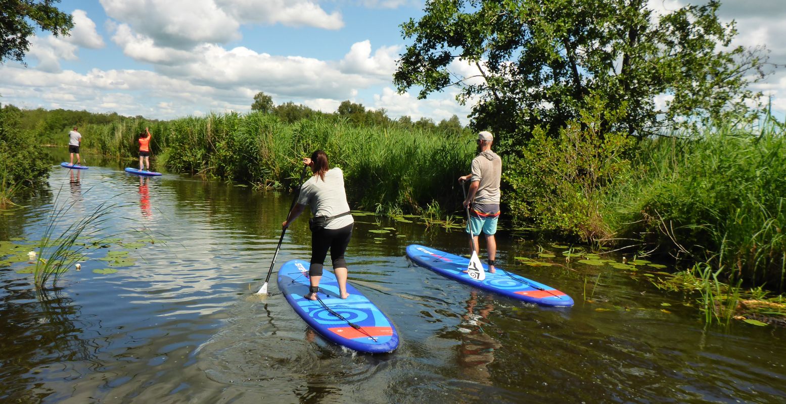 Verken natuurgebied de Weerribben-Wieden op een supboard van WeerribbenSUP. Foto: WeerribbenSUP © Arjan Berger