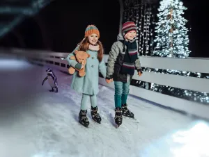 Schaatsen in Natuurmuseum Fryslân Foto: Natuurmuseum Fryslân