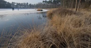 Winterstilte in de  Oisterwijkse bossen en vennen Winterstilte in de  Oisterwijkse bossen en vennen | Foto geüpload door gebruiker Natuurmonumenten.