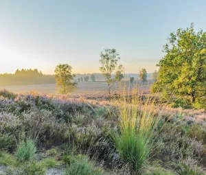 Ochtendwandeling Foto geüpload door gebruiker Geldersch Landschap en Kasteelen