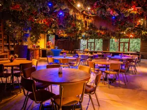 Ouwehands Dierenpark Ontspan in het sfeervolle Jungle restaurant. Foto: Ouwehands Dierenpark