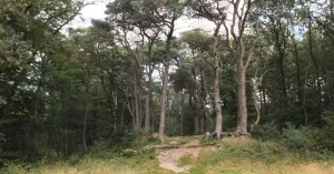 Ontdek het Noordlaarderbos | Foto geüpload door gebruiker Natuurmonumenten.