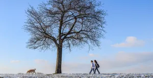 Top 5 uitjes voor kerst Maak een mooie kerstwandeling door de natuur. Of ga schaatsen, naar een museum... er is zoveel leuks te doen! Foto: via  Pixabay 