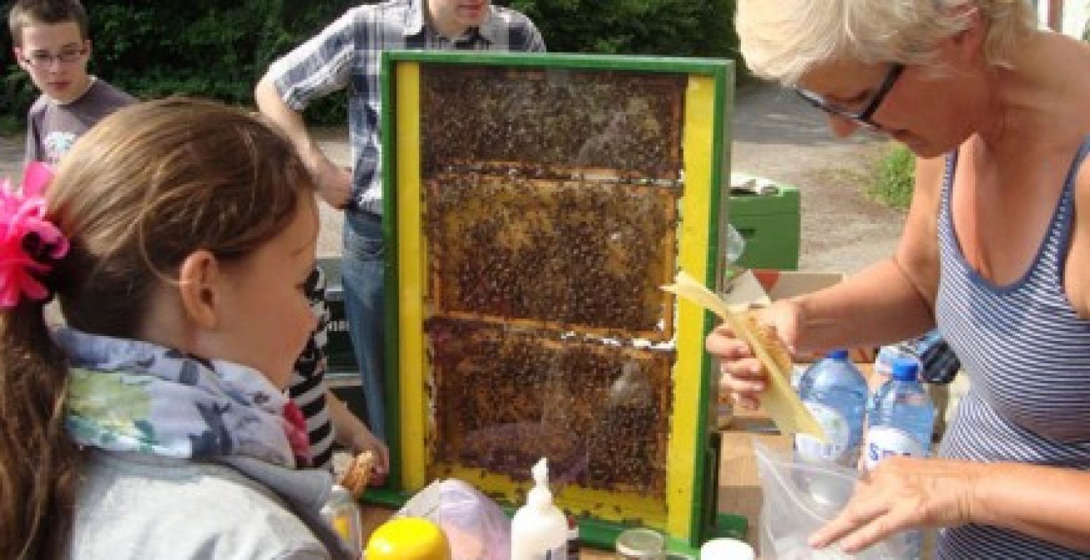 Maak kennis met het bijenleven op de Landelijke Open Imkerijdagen. Foto: Bijenhouders.