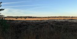 Herfstwandelingen rond Wolfheze