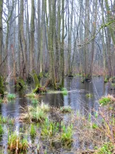 Ontdek de droge kanten van het Dubbroek Foto: Limburgs Landschap Gouda | Foto geüpload door gebruiker limburgslandschap