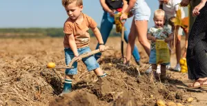 Wat kun je doen dit weekend? Voor de liefhebbers van het buitenleven is de Nationale Aardappelrooidag een super leuk uitje! Foto: Lieke Vermeulen