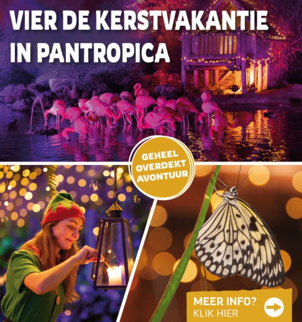 Beleef een waanzinnig winteravontuur in Pantropica!