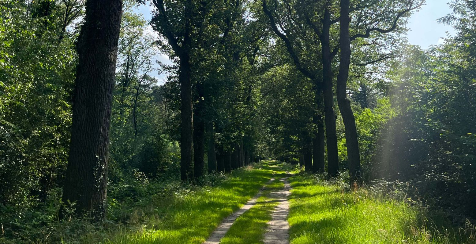 Vanuit het klooster zit je zo in de natuur. Foto: Eline van Lindenberg