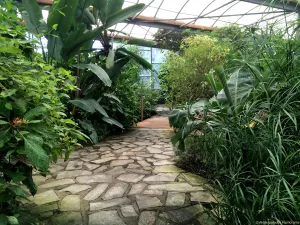 Foto: Vlinderparadijs Papiliorama