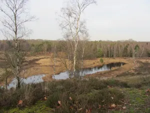 Foto: Limburgs Landschap Gouda | Foto geüpload door gebruiker limburgslandschap