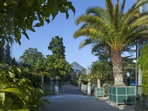 Ook buiten de kassen is veel bijzonders te zien. Foto: Hortus Botanicus Leiden © Wim Sonius