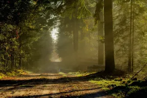 Lange wandeling Foto geüpload door gebruiker import Geldersch Landschap en Kasteelen