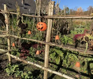 Herfstspeurtocht Foto geüpload door gebruiker Geldersch Landschap en Kasteelen