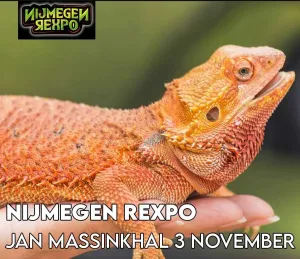 foto: Nijmegen Rexpo