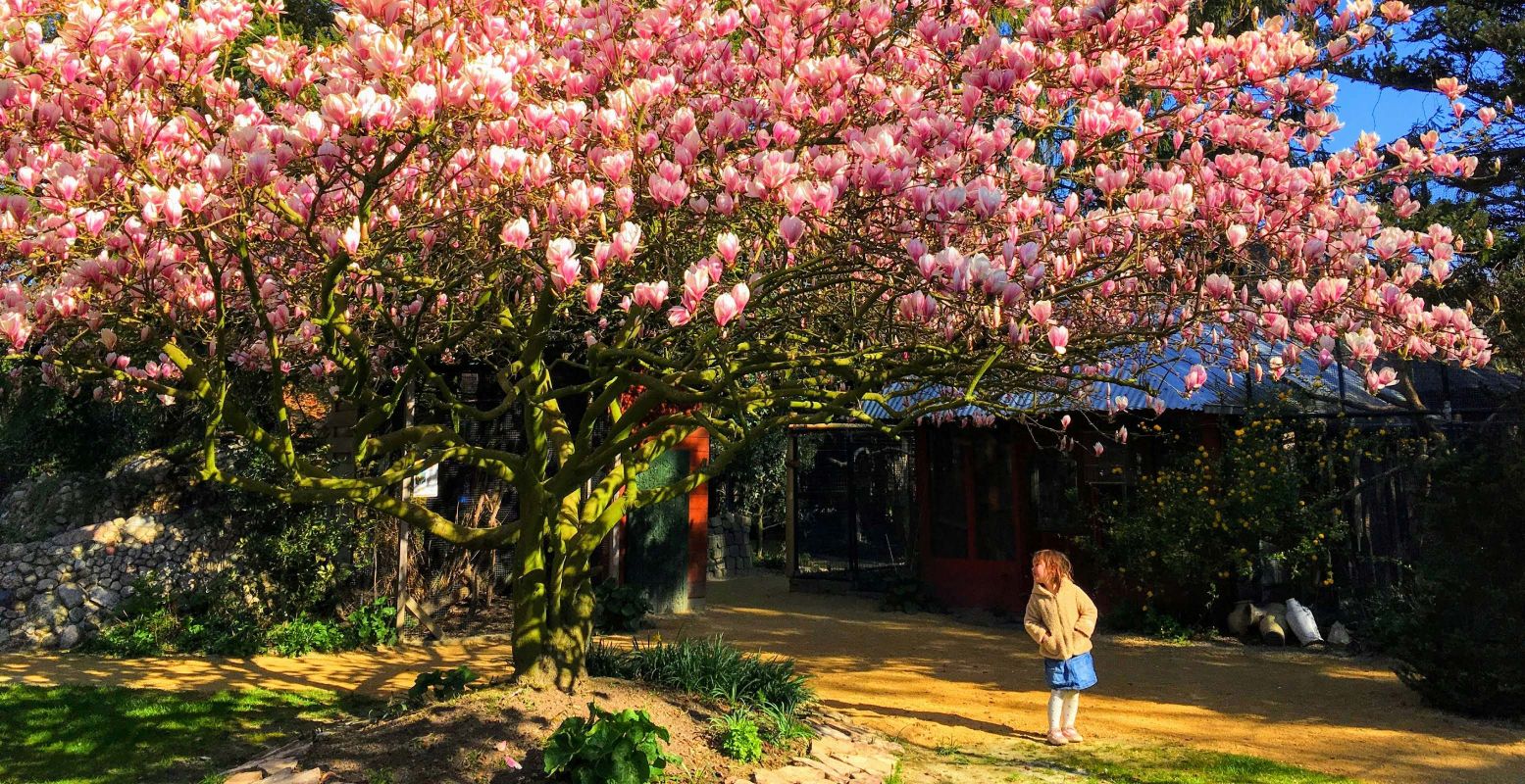 Beleef dit jaar een moment van bezinning tijdens de seizoensopening van Taman Indonesia. Foto: Taman Indonesia