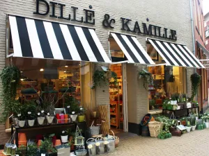 Dille en Zwolle & Kamille Overijssel DagjeWeg.NL