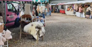 De leukste markten in maart Sla je slag op een gezellige braderie, markt of fair. Foto: DagjeWeg.NL