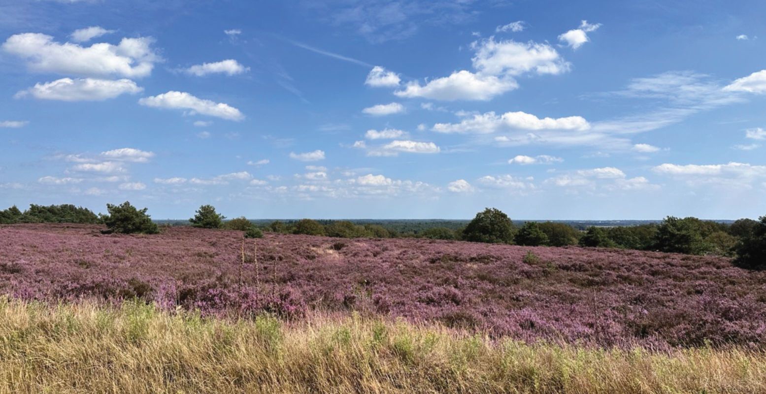 Ga op avontuur in de prachtige natuur van Salland en het Reggedal met Puzzeluitje. Foto: Puzzeluitje