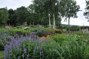 Nazomeren in de tuinen van Buurvrouw en Buurvrouw Het Zwaluwhuis. Foto:  Wies Voesten 