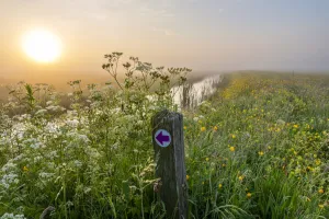 Noord-Hollandse Natuurdag Fotobeschrijving: Zeerijdtsdijkje. Foto: Ronald van Wijk.